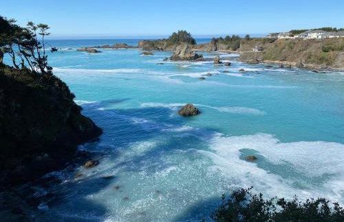 Octopus Suite - Foto 5