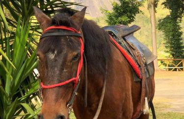 Hotel Fazenda Santa Helena - Photo 74