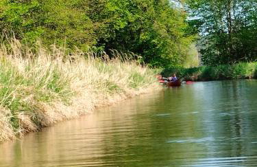 Leśna Chata kuracyjna nad rzeką z sauną w Borach Tucholskich - Foto 43