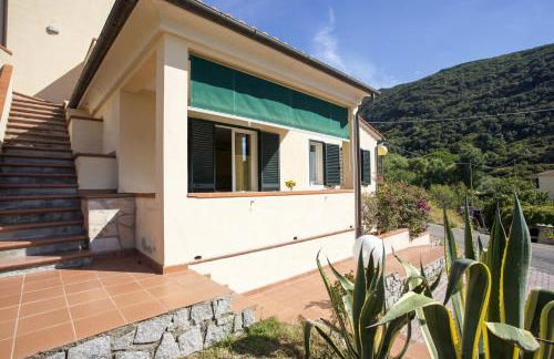 Bougainvillea Primo Piano - Goelba - Foto 46