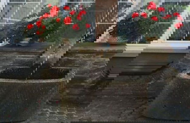 Uitzicht op de Moezel in Urzig - Photo 17