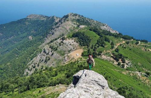 KTIMA ALEXANDROS - Photo 65