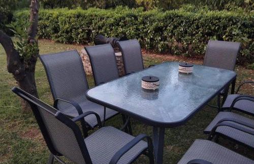 Portokalia - Foto 46