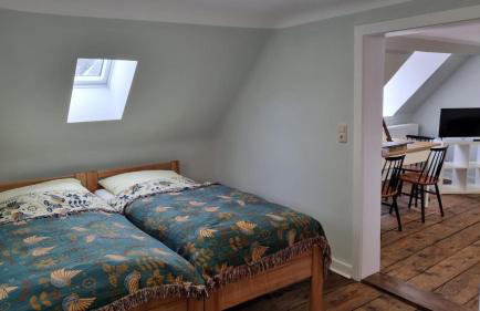 Ferienwohnung im ehem Rittergut - Foto 3