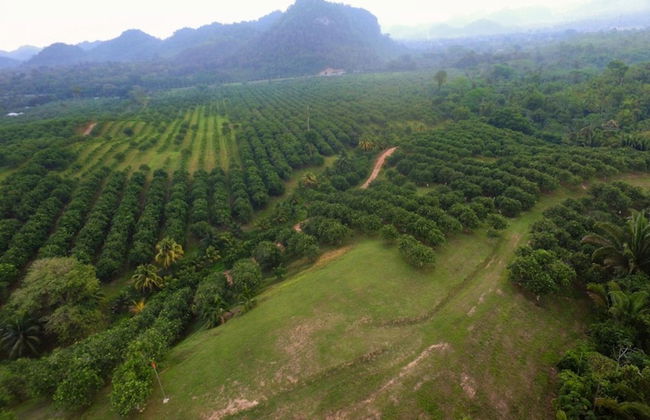 Valley Stream Private Eden - Foto 61