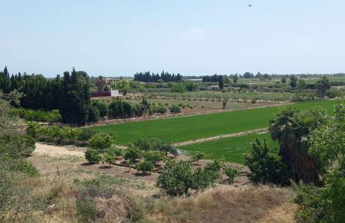 L'Hortet del iaio - Foto 54