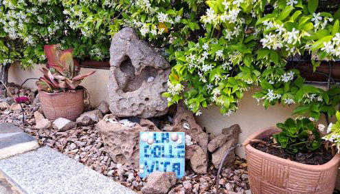 Appartamento Dolce Vita San Teodoro - Foto 2, Garden