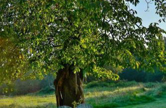 COHCO'ART GITES - Foto 35