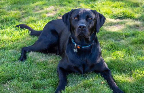 Horatio’s - Foto 34