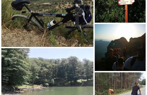 B&B Bellavista Gerace - Foto 25