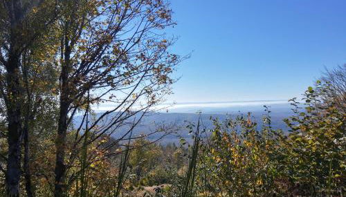 Studio calme et lumineux avec terrasse - Foto 4