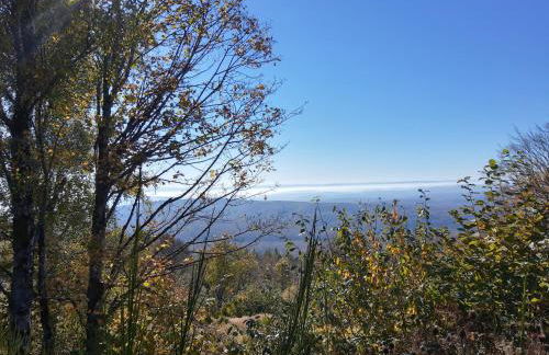 Studio calme et lumineux avec terrasse - Foto 4