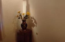 Apartman Šipak - Foto 1