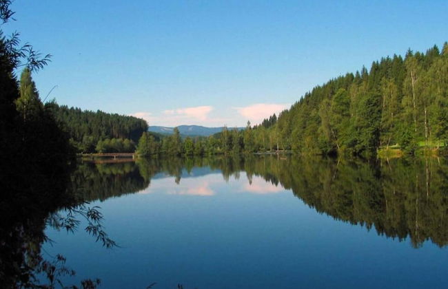 Tranquil Garden Apartment - Photo 35