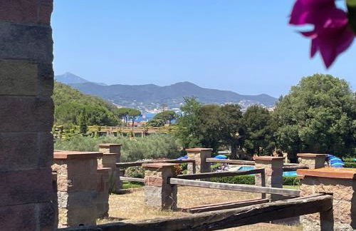 Sant'Anna Del Volterraio - I Lecci 3 - Foto 9