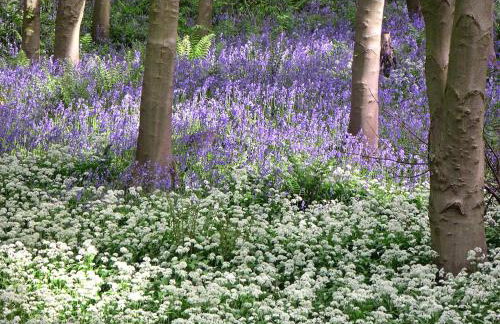 Finest Retreats - Ingleby Manor - South Front - Photo 14