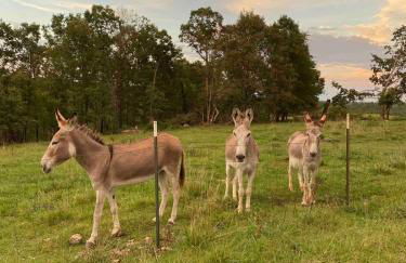 The Varnadoe Villa- Farm Stay - Foto 35