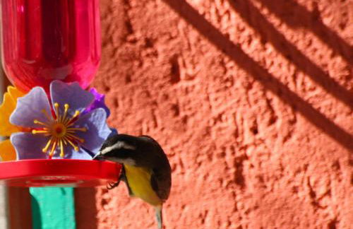 Recanto do Encanto Eco Beach Stay - Foto 77