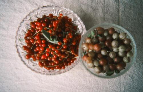 Tajna Bazia - Foto 10