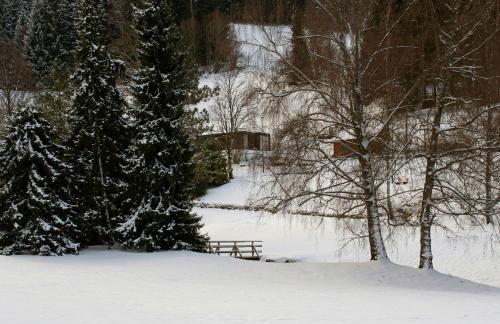 Design House In Black Forest Near Baiersbronn - Photo 29