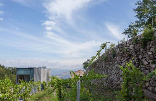 Melgaço Alvarinho Houses - Foto 44
