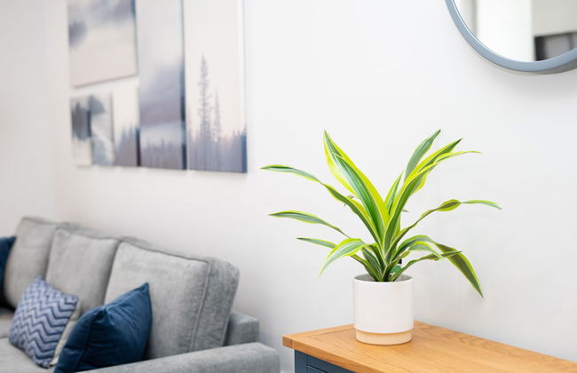 Spa Court - Photo 33