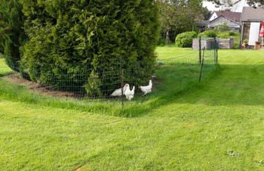 Ferienwohnung Sonnentau 1 - Foto 23