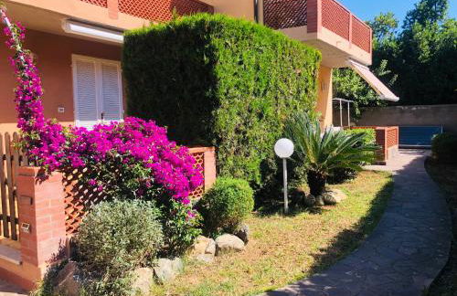 Appartamenti Andolfi - Foto 1