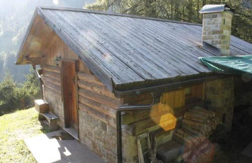 LA VOCE DEL BOSCO Selva di Cadore - Foto 7