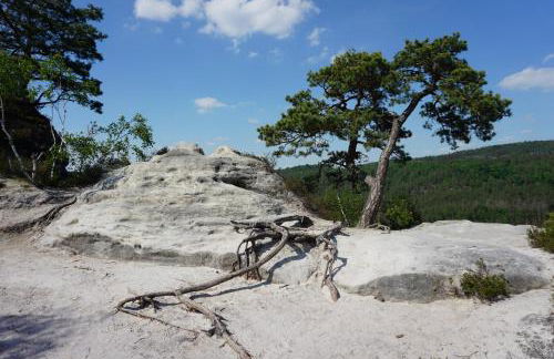 Ferienwohnung Familie Frank - Foto 47