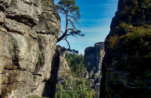 Ferienhaus Siebenschläfer im Sandsteinidyll - Foto 16