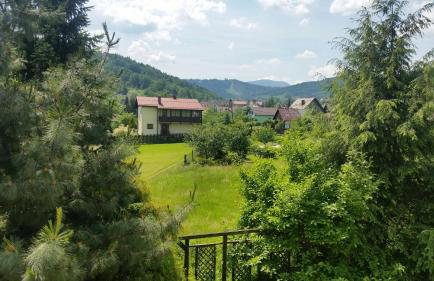 Świnna - Brzozowy Zagajnik - Foto 32