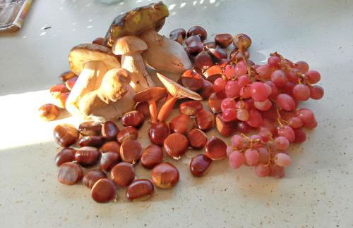 Chalet rustique à La Salvetat-sur-Agout avec vue montagne - Foto 6