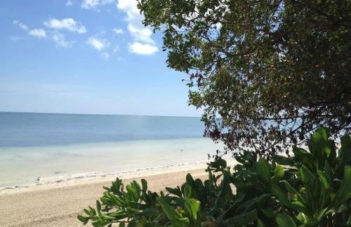 Cozy beachfront oasis, heated pool & ocean views #13 - Foto 17