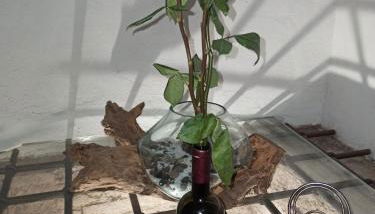 NarniAlloggi Casa Vacanze - Foto 3