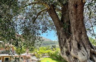 PargaLand Studios & Apartments - Photo 68