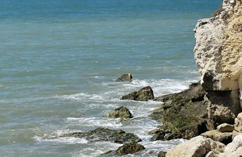 Studio La Charentaise - Logement de vacances 2 personnes vue mer - Foto 42