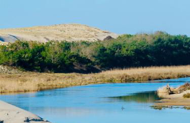 Appart Cosy Green, Océan, Golf, Piscine, Wifi - Foto 65