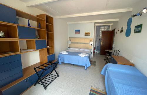 Il Violoncello - Foto 2