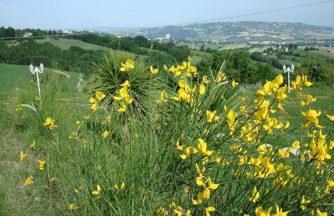 Panoramic Villa Italy Just few Minutes Drive From the Beach - Foto 42