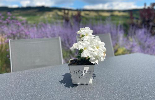 Ferienwohnung Weinbergblick - Foto 18