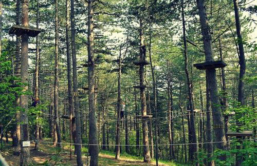 villa Grazia - Foto 23