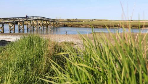 51 Carman Avenue Sandwich - Cape Cod - Foto 2