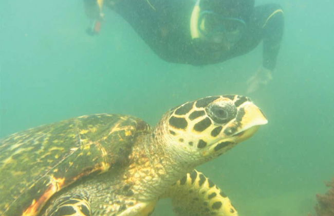 Tour de 4x4 e mergulho em Ilhabela - Foto 3