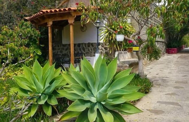 Finca El Castillo - Foto 64