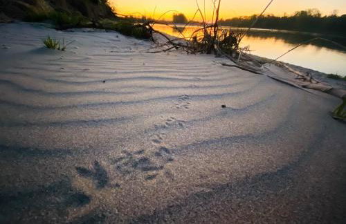 Ferienwohnung Bellissima - Foto 12