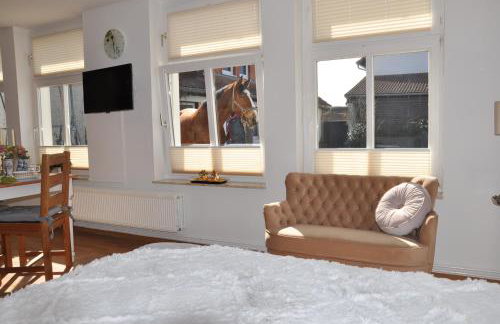 FEWO Reitanlage bei Altefähr - Foto 45