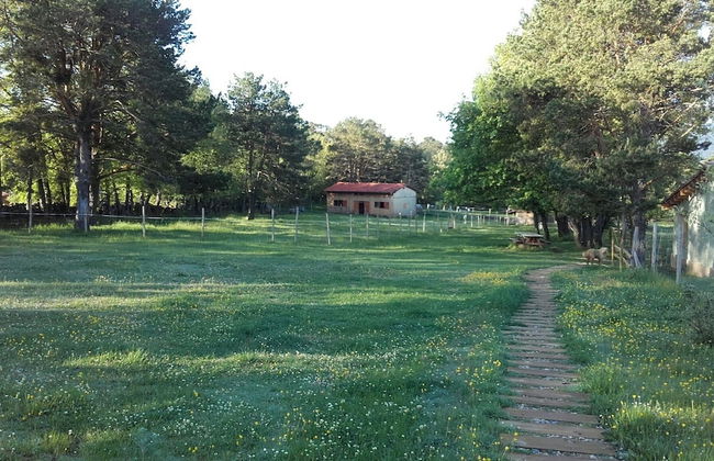 Eco Urbión - Foto 61