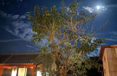 Casa de Campo Paraíso na canastra - Foto 45