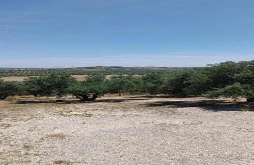 Apartment in Montilla Near Palacio Medinaceli - Foto 40